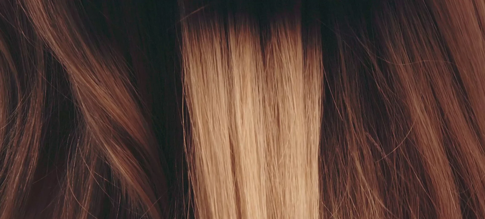 Your Hair, Intelligently Styled